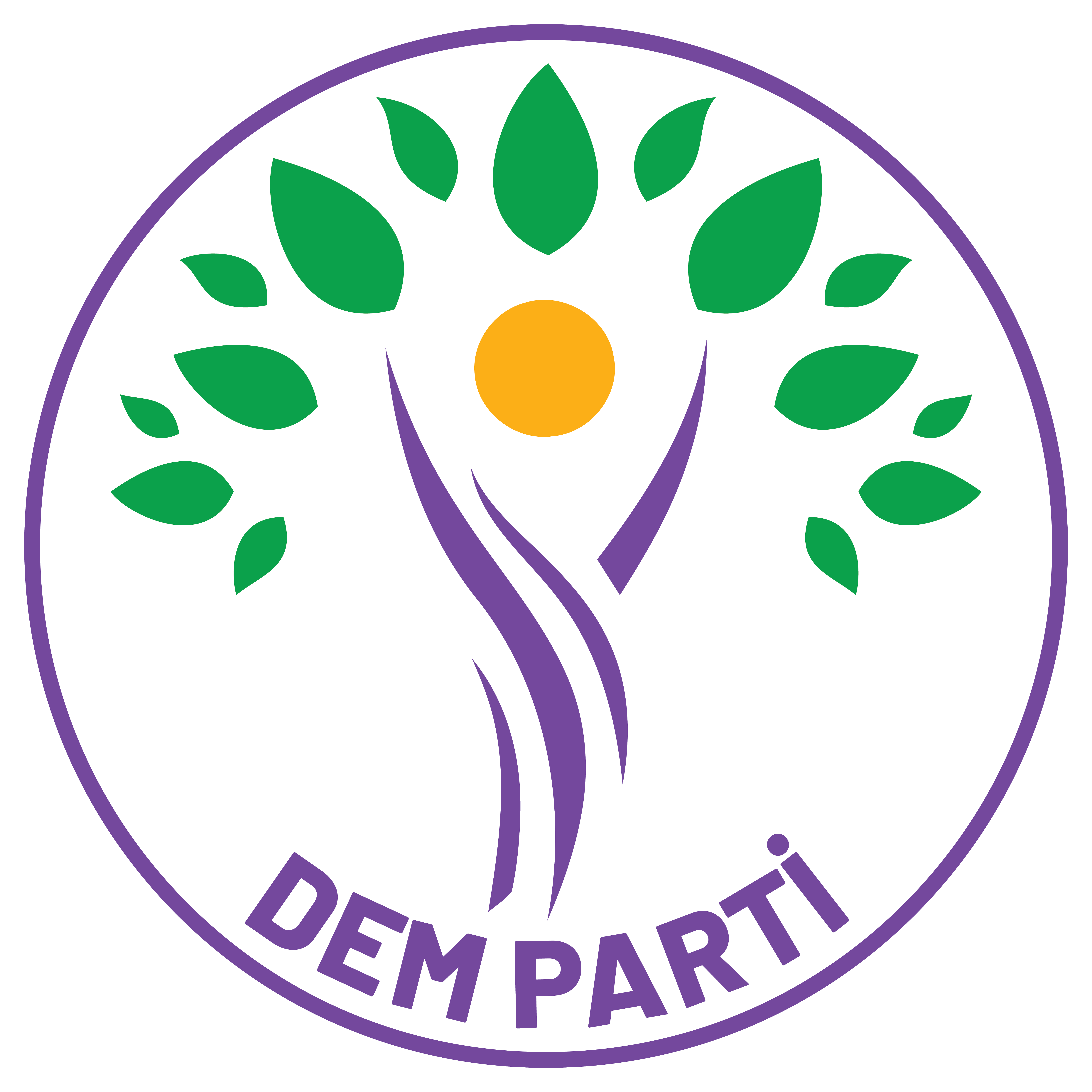 DEM Parti